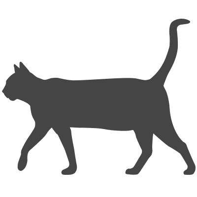 Gray Cat Films
