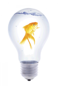 2008_ic_creativity