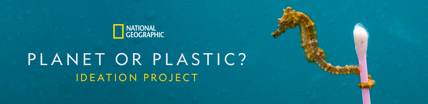 Planet or Plastic Ideation Project