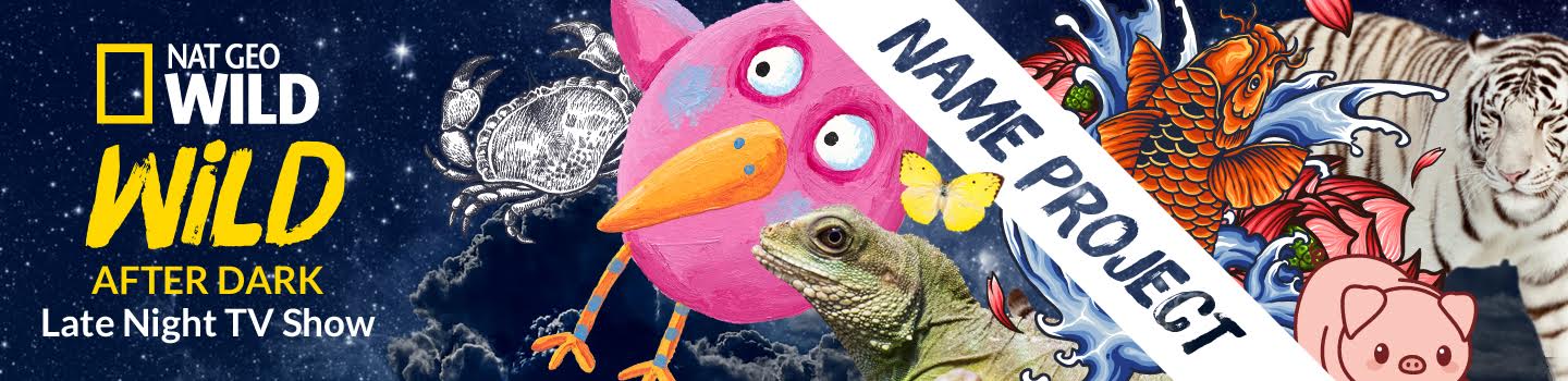 "Wild After Dark" Late-Night TV Show Name Project