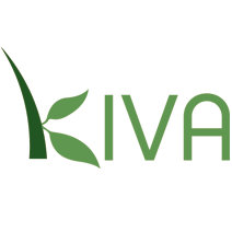 Kiva