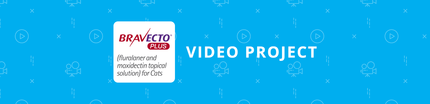 Bravecto Plus Social Video Project
