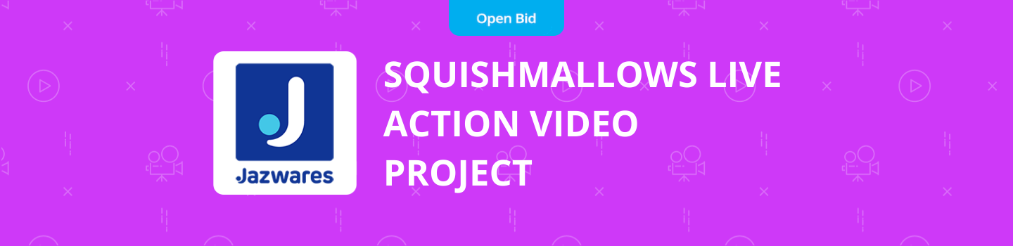 Squishmallows Live Action Video Project
