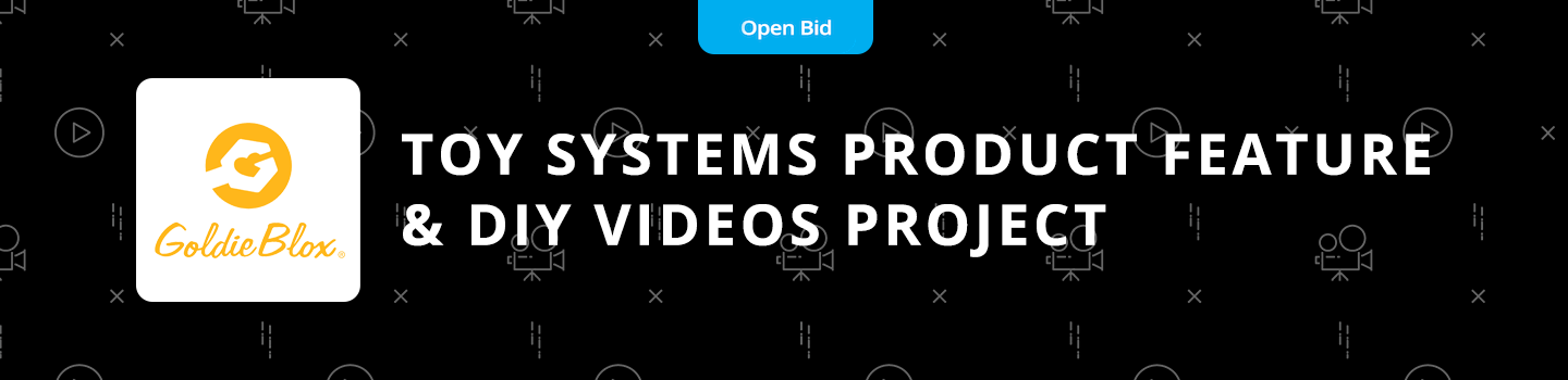 Toy Systems Product Feature & DIY Videos Project