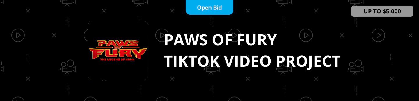 Paws of Fury TikTok Video Project