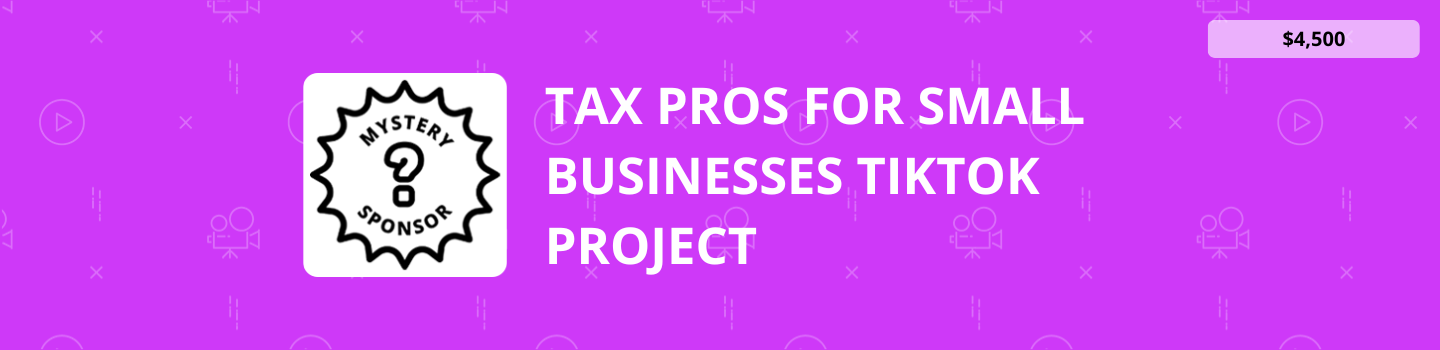 Tax Pros for Small Businesses TikTok Project