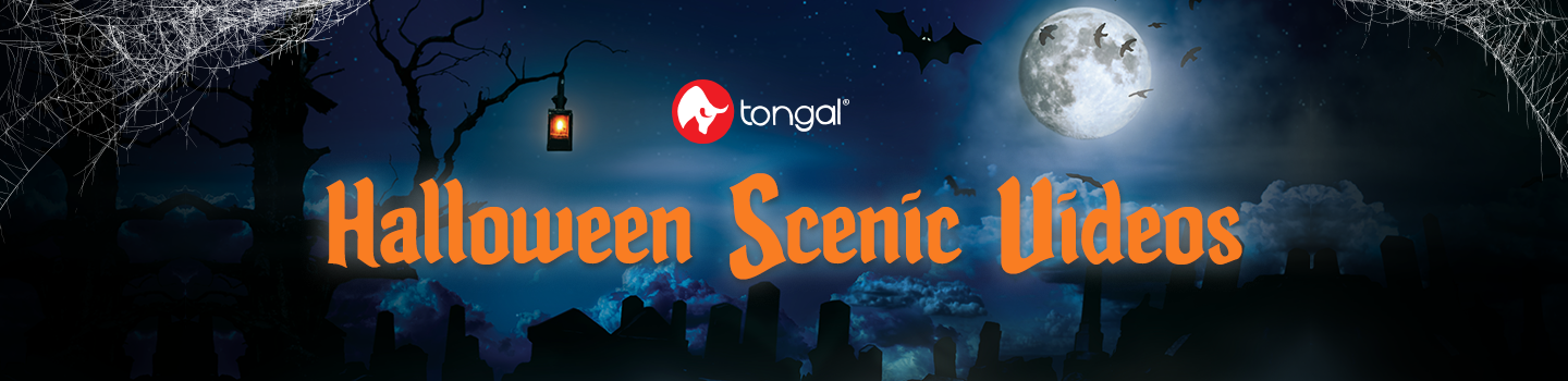 Halloween Scenic Concepts