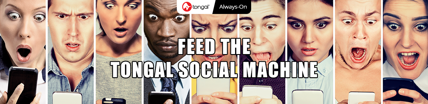 Feed the Tongal Social Machine Project November 2018