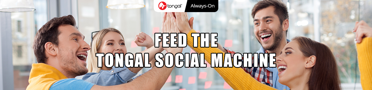 Feed the Tongal Social Machine Project December 2018