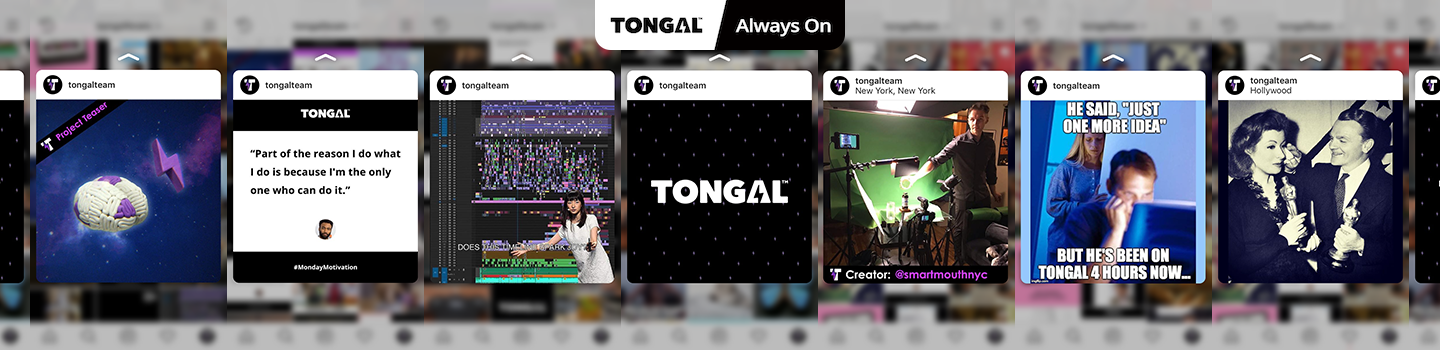 Feed the Tongal Social Machine Project March 2019