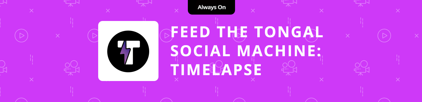 Feed the Tongal Social Machine Project: Timelapse Edition