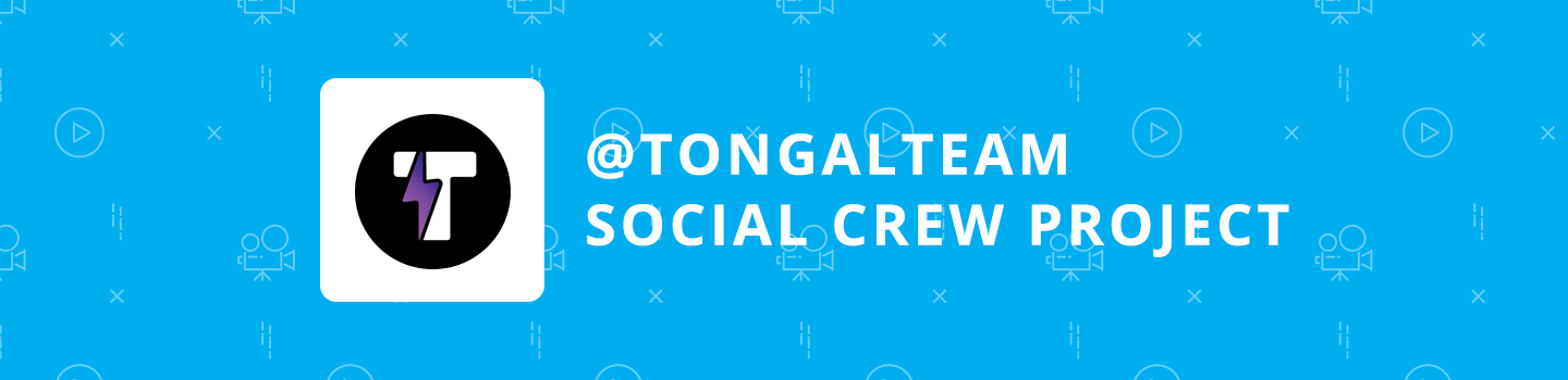 @TongalTeam Instagram Social Crew Project
