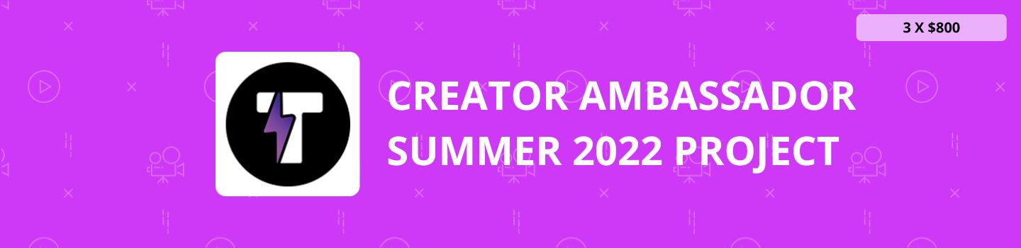 Creator Ambassador Summer 2022 Project