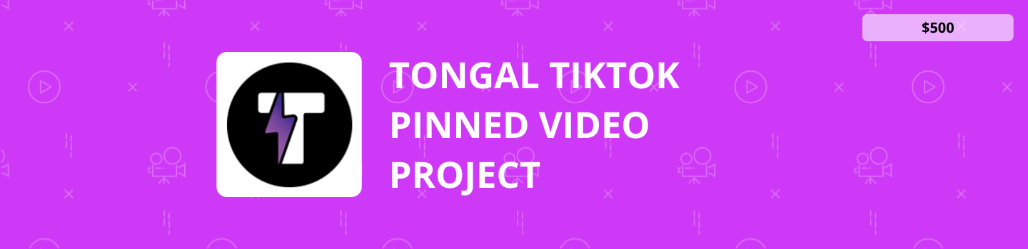 Tongal TikTok Pinned Video Project