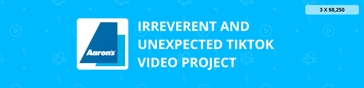 Irreverent and Unexpected TikTok Video Project