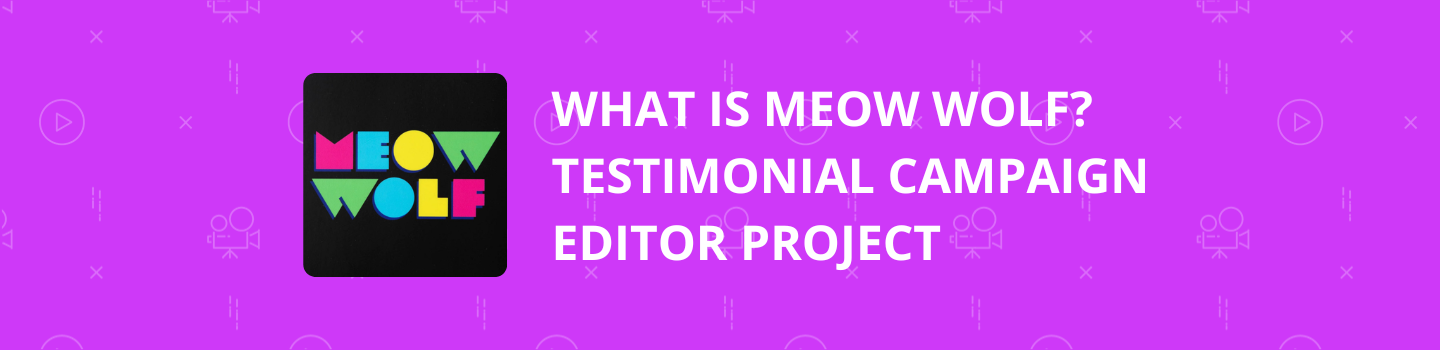 What is Meow Wolf? Testimonial Campaign Editor Project