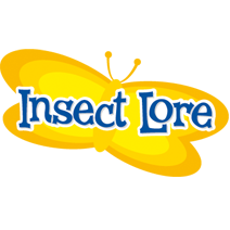 Insect Lore