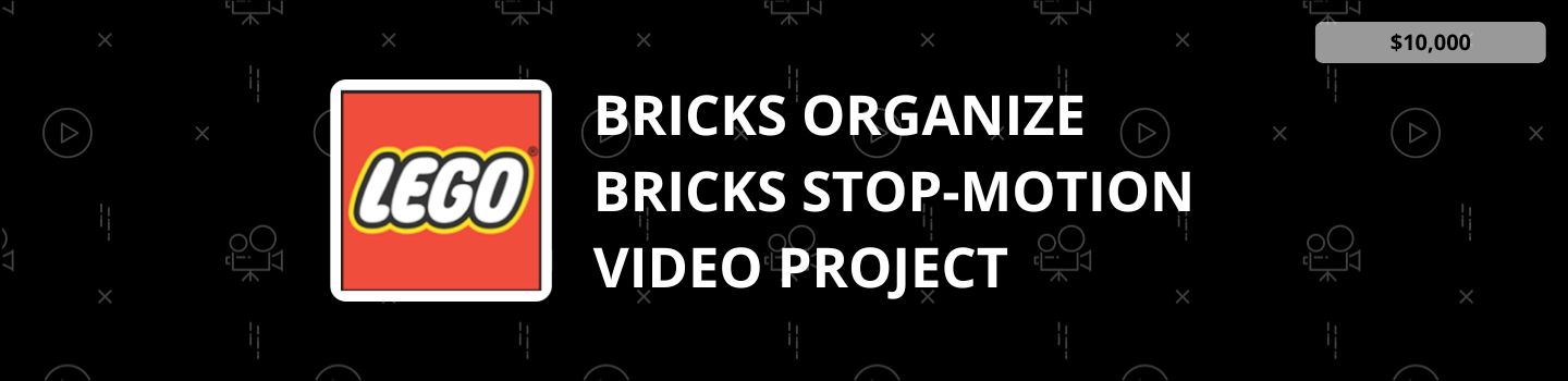 LEGO Bricks Organize Bricks Stop-Motion Video Project