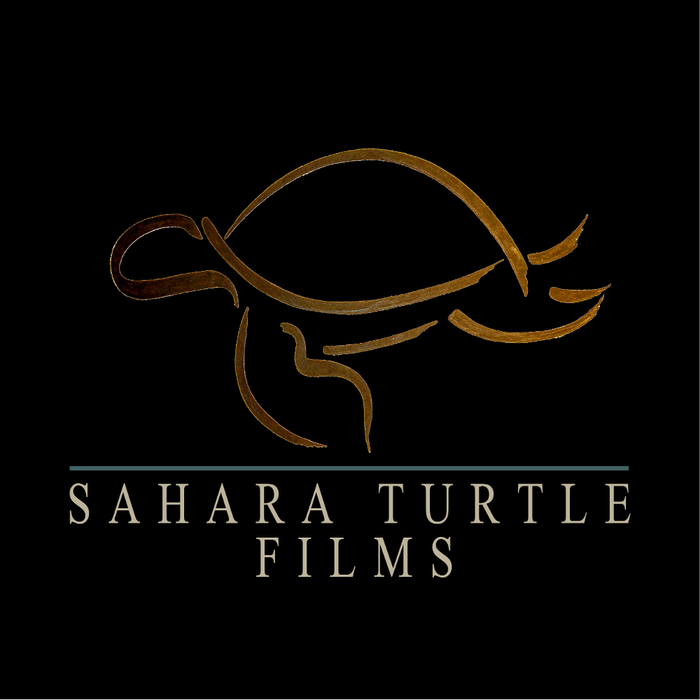 Sahara Turtle Films
