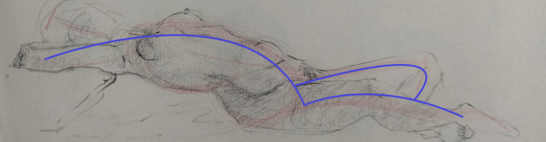 urved line of action in sketch of character in repose