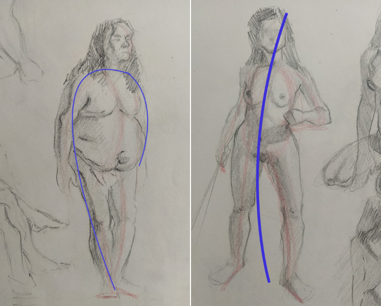 Lines of action and c-shapes in sketches of standing characters